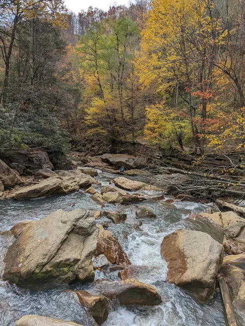 Blackwater Canyon Trail