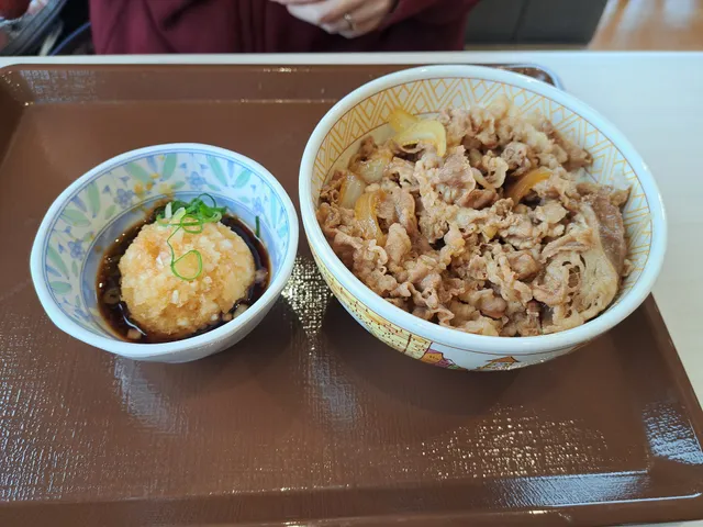 すき家 403号中野江部店