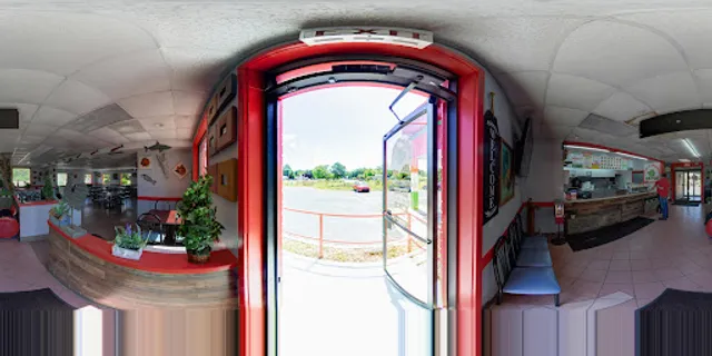 GATOR FISH N' CHICKEN