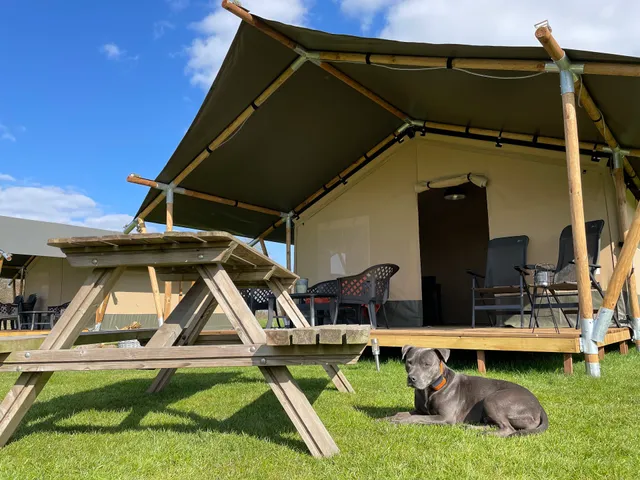 Minicamping Falkenborg