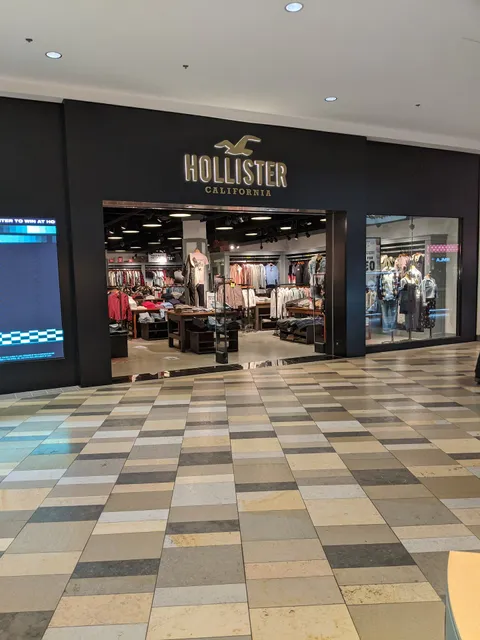 Hollister Co.