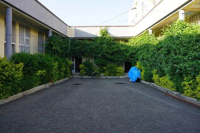 Bahir Dar Backpackers Hostel