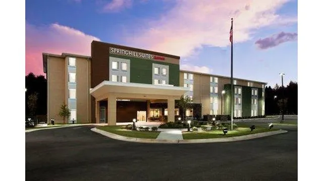SpringHill Suites by Marriott Mobile