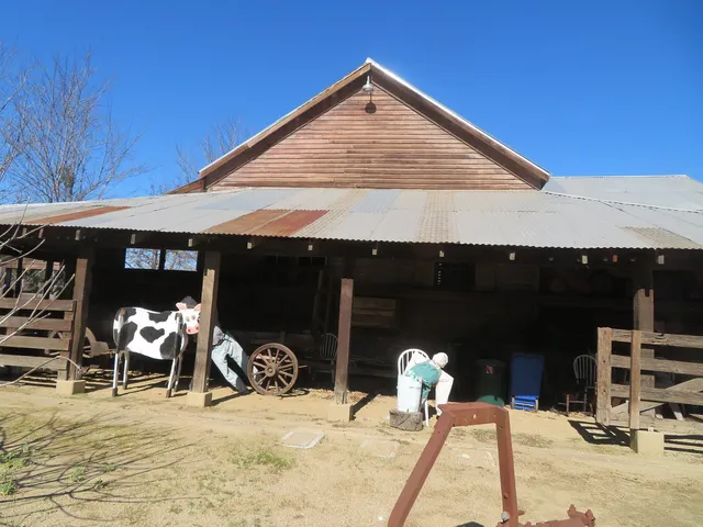 Dublin Historic Park and Museums