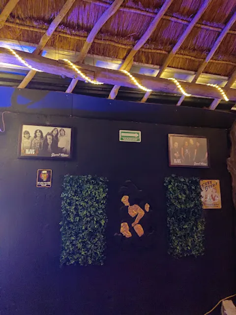 Alive Snack Bar Playa del Carmen