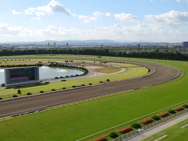 JRA Kyoto Racecourse