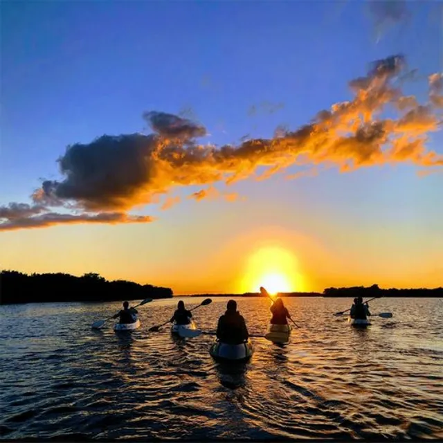 Fin Expeditions Kayak Tours