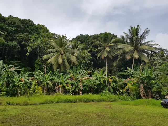 Pohnpei