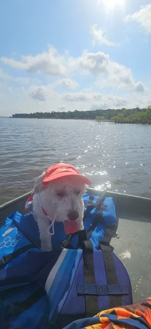 Hugo Lake Cabins & Marina
