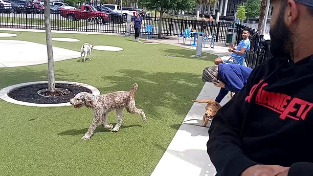 Dog Parks at Julian B. Lane Riverfront Park