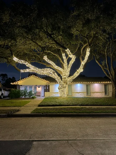 Houston Christmas Lights