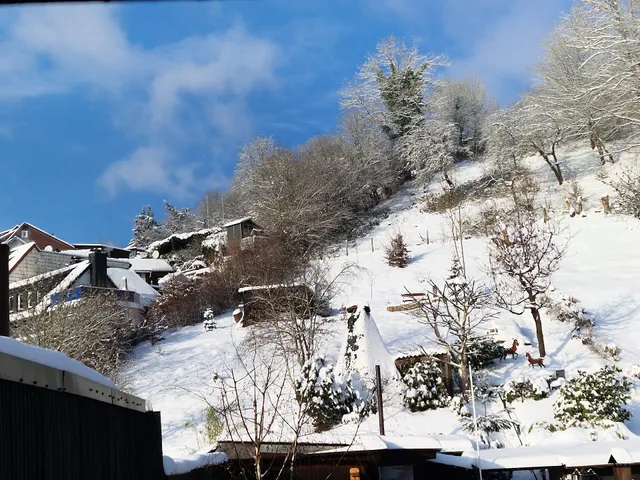 Ferienwohnung Hexenblick