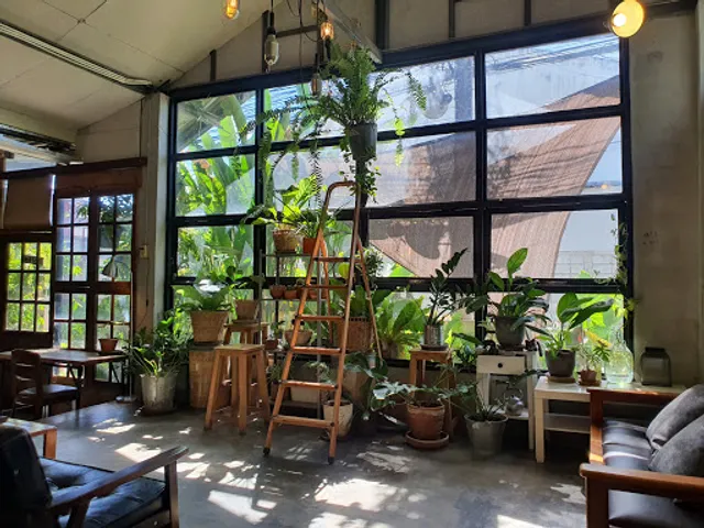 Rustic Barista Specialty Coffee