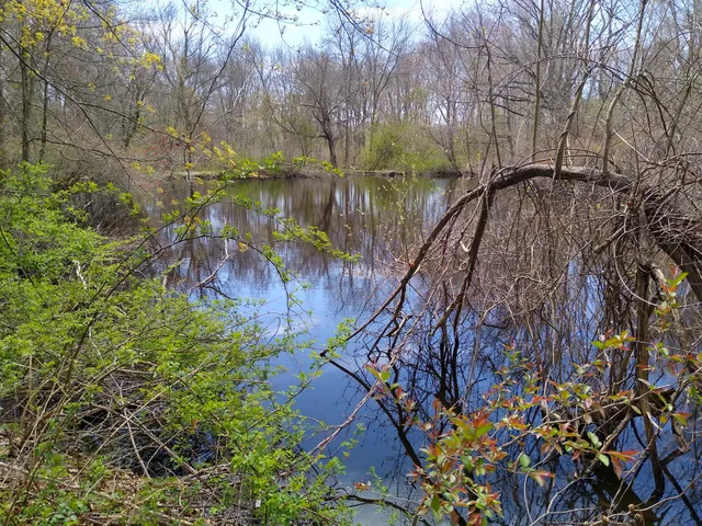 Marblehead Neck Wildlife Sanctuary