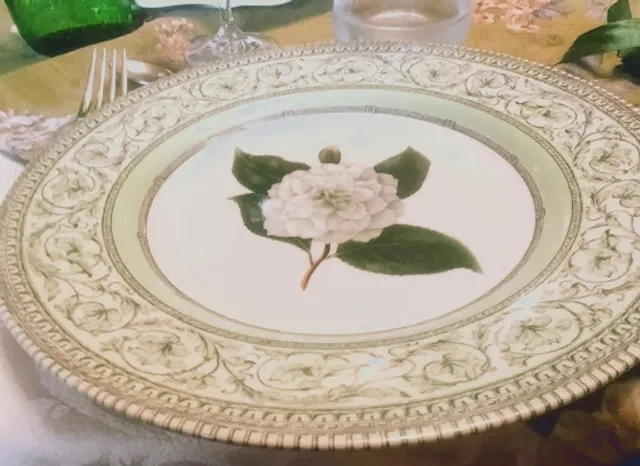 Agriturismo Biologico e B&B. TIROTARICO