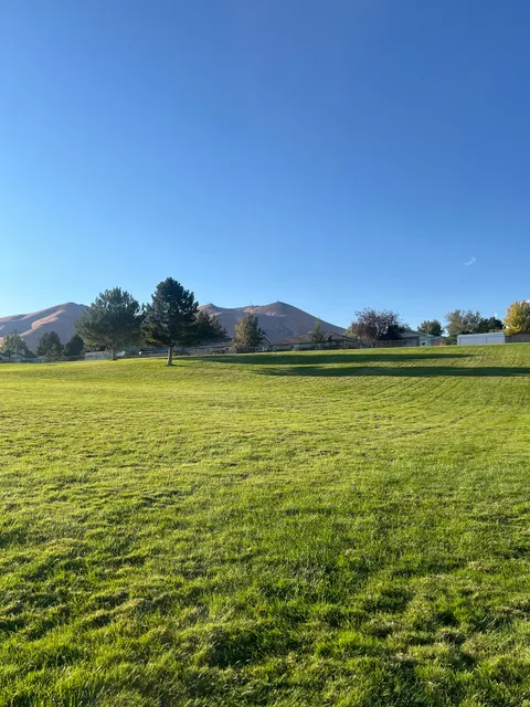 Pioneer Memorial Park