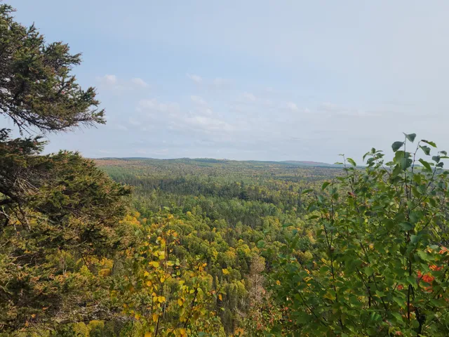 Stony River Township