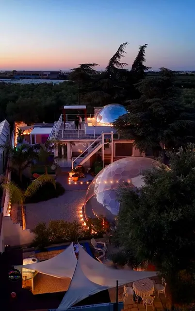 Bubble World Wild Love