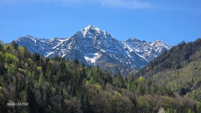 Taxi boat Budva Neno