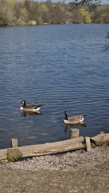 Weald Stick Man Play Trail