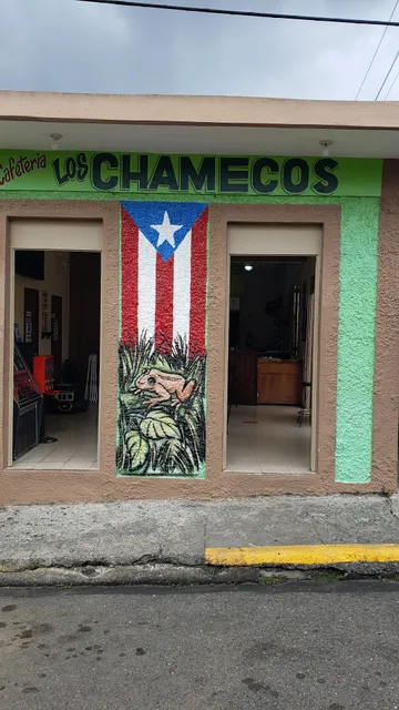 Los Chamecos & Sandwiches