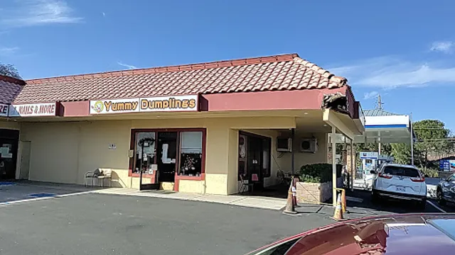 Yummy Dumplings