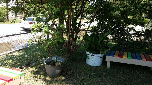 Centro Cultural Hispano de San Marcos