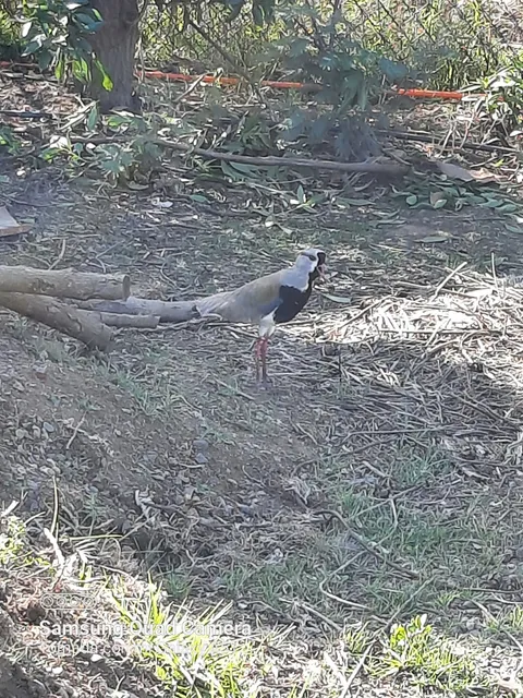 Casa ConCon Mantagua
