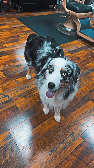 Feel The Steel Barber Shop