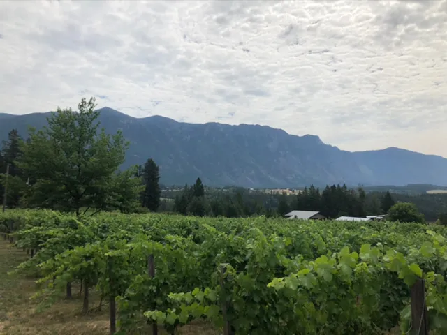 Red Bird Estate Winery