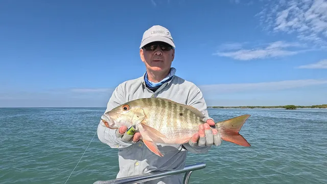 Key West Fly Fishing with Capt. Dexter Simmons