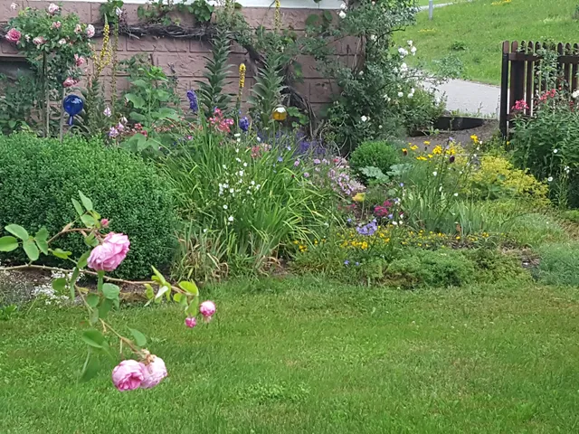Ferienwohnung Eichbachmühle