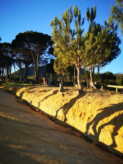 Coetzenburg Mountain Bike Trails