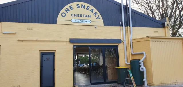 One Sneaky Cheetah - Melrose Park