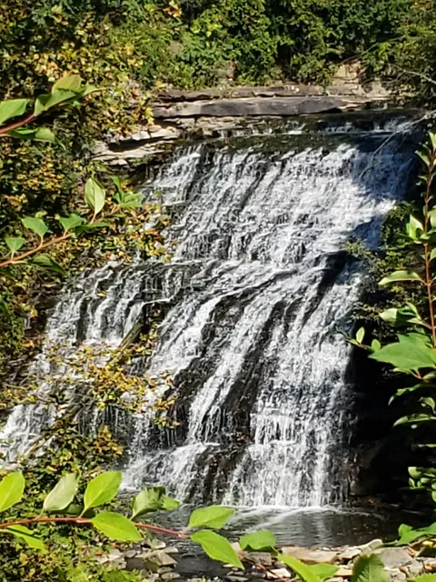 photo-3