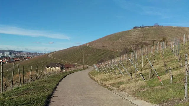 Säule und Sitzbank in den Weinbergen