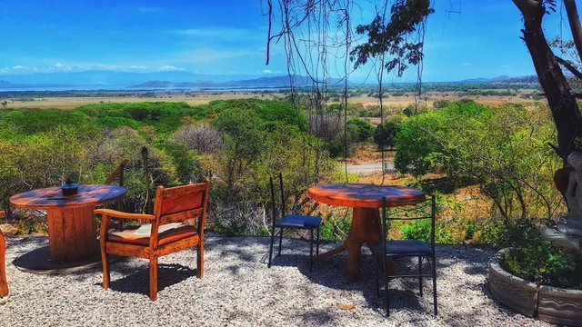 Bar y restaurante mi tierra