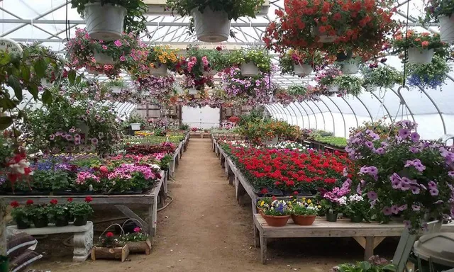 Jandreau's Greenhouse