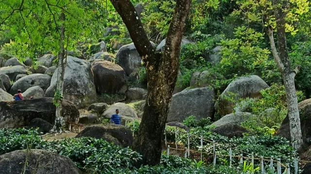 Kramsa Rock Garden ( Nampi )