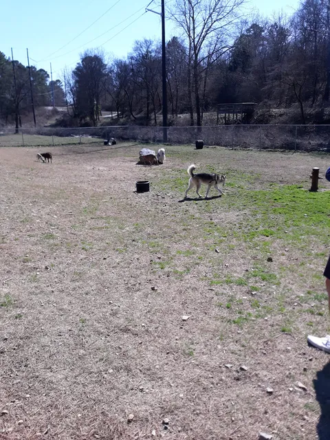 Hot Springs Bark Park