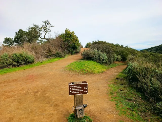 High Meadow Junction