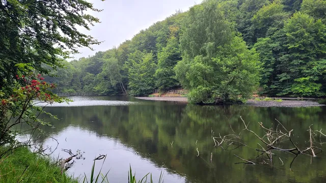 Söderåsens huvudentré Skäralid