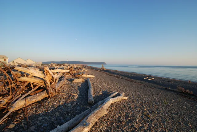 Driftwood Park Retreat Inc