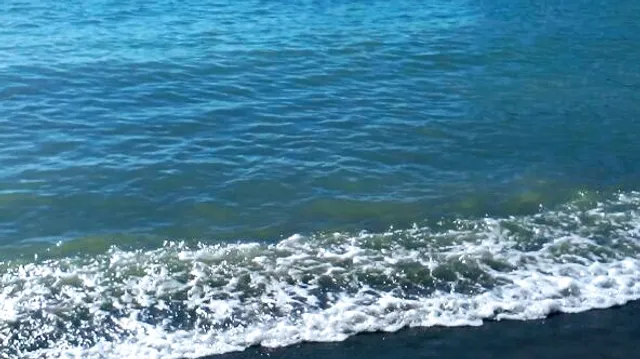 Guest house "Family Courtyard"