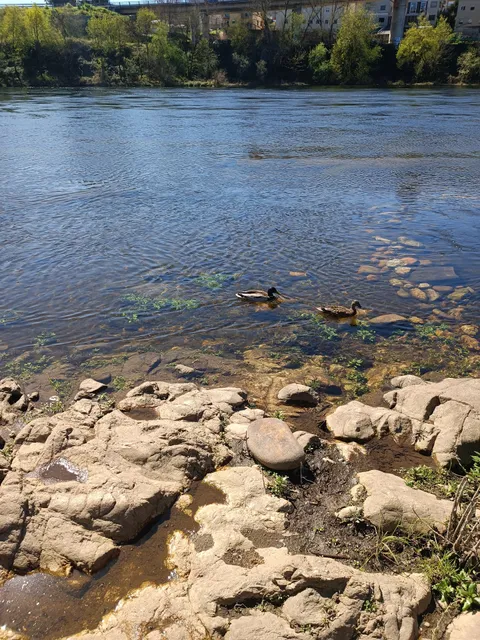 Aparcadoiro da Chavasqueira