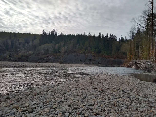 Olympic Wildlife Area - Anderson Homestead Unit