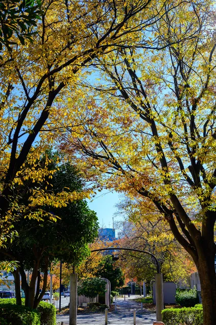 Futo'o-zutsumi Greenway