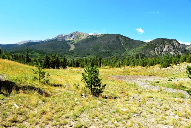 Dickey Day Use Area / Trailhead