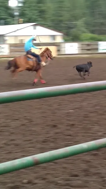 Springdale Rodeo Grounds