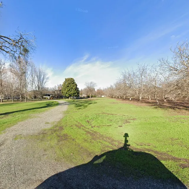 American Almond Orchards